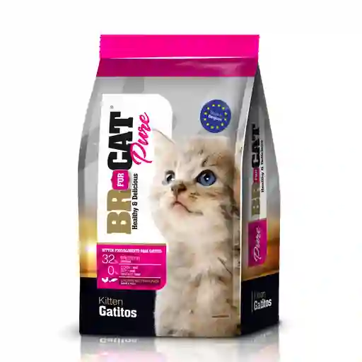 Br For Cat Alimento para Gatitos
