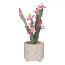 Maceta Cerámica Cactus Flor Diseño 0002 Casaideas