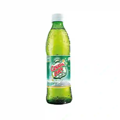 Canada Dry Ginger 330 ml