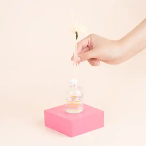 Difusor de Aroma Fresia Miniso