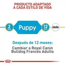 Royal Canin Alimento para Perro Bulldog Frances Puppy 