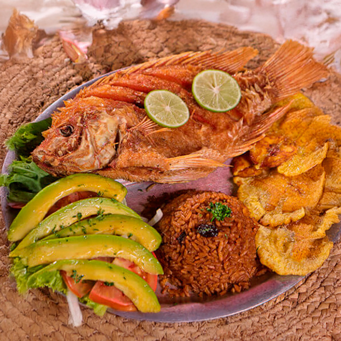 Bandeja playera