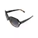 Steve Madden Gafas X17039