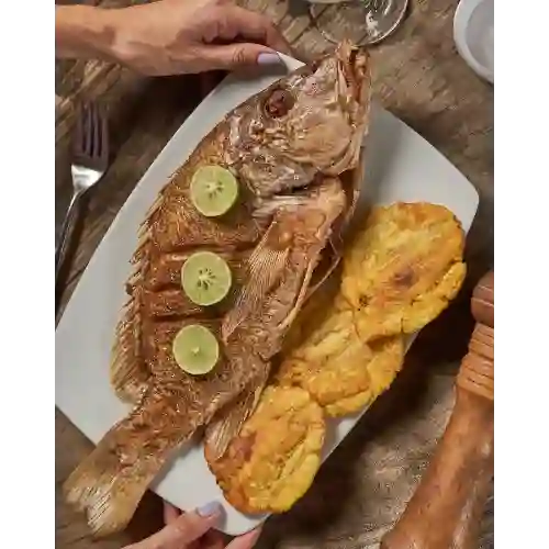 Filete a la Mojarra