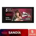Chicle Trident Sin Azúcar Sabor Sandia 5 Und