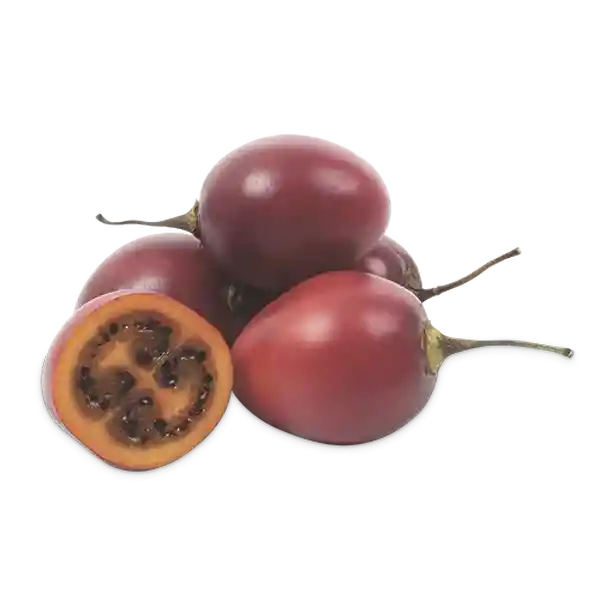 Tomate de Árbol Rojo