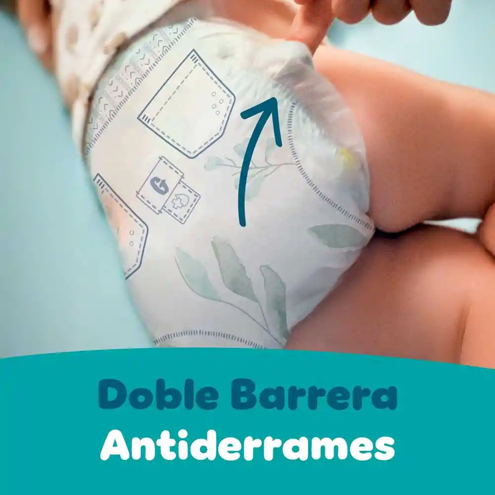 Pampers Pañal Desechable Baby Dry Etapa 3 32 Und