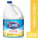Blanqueador Clorox Pureza Cítrica Botella 3.8 lt