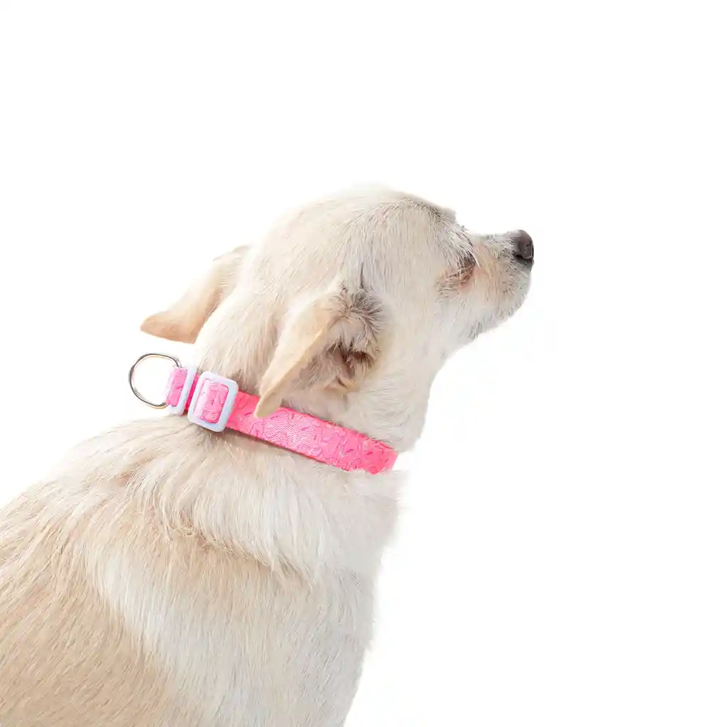 Collar Ajustable Para Perro Mylu S Rosada
