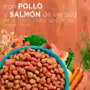 One Alimento para Gatos Esterilizados Sabor a Pollo y Salmón