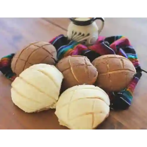 Conchas Mexicanas X 2