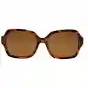 Gafas Sol Foster Grant Fglp 21 05