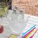 Ambiente Gourmet Balde en Acrílico Para Bebidas