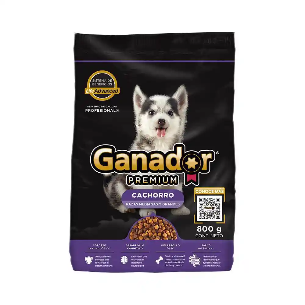 Alimento Perro Cacho Raz M Y G Ganador Premium Adulto 800 Gr