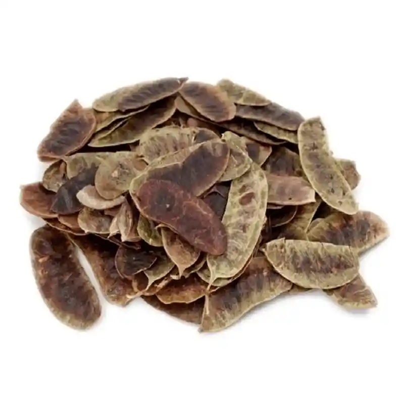 Inali Acacia Indu