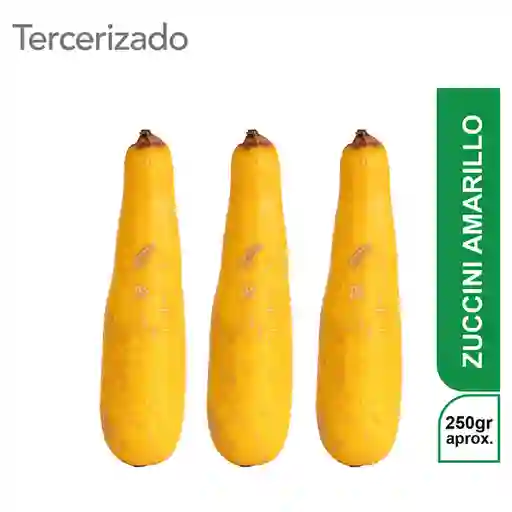 3 x Zucchini Amarillo Turbo
