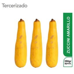 3 x Zucchini Amarillo Turbo