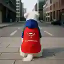 Accesorio Mascotas Sudadera Con Capucha Serie dc Superman Miniso