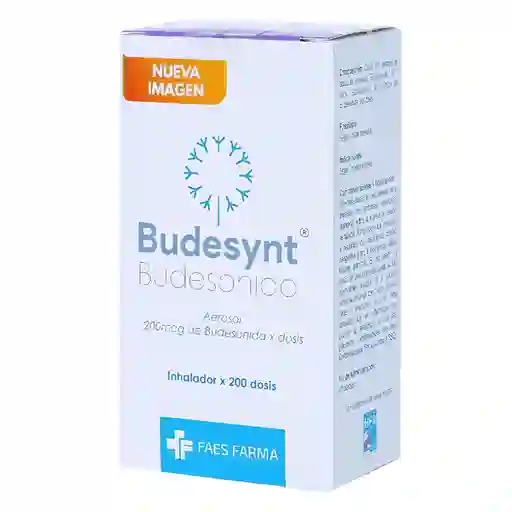 Budesynt Aerosol (200 mcg/Dosis)