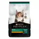 Comida para Gatitos Purina Pro Plan x 3 kg