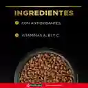 Comida para perros adultos paladares exigentes razas pequeñas Purina Pro Plan x 3 kg
