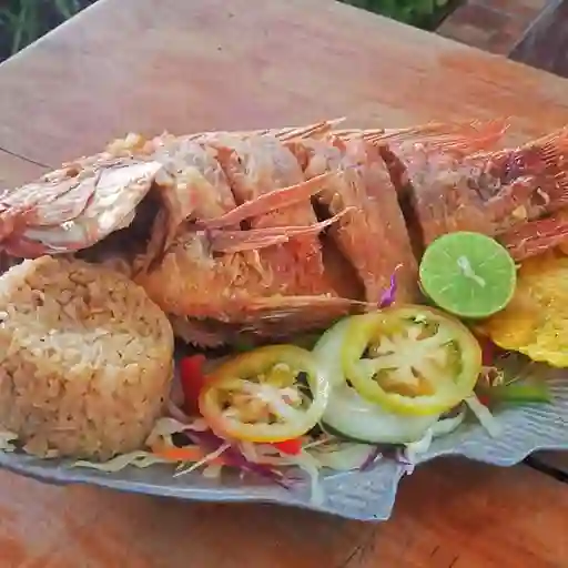 Mojarra roja frita