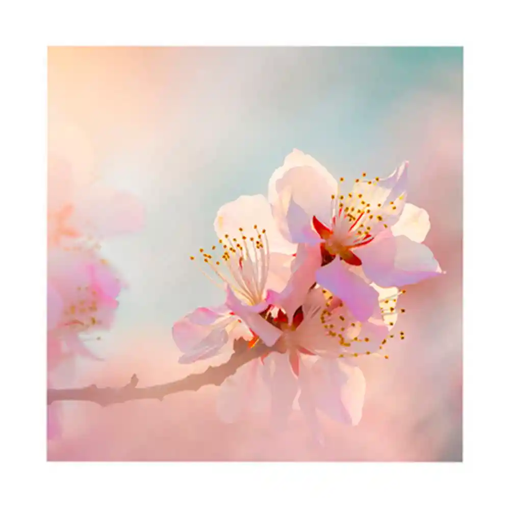 Lienzo Krea Flores 02 20x20cm