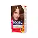 Tinte Igora Vital 6-68 Chocolate
