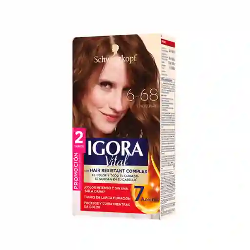 Tinte Igora Vital 6-68 Chocolate