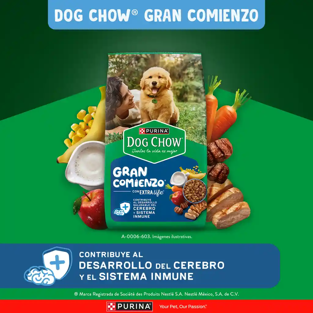 Comida para perro Dog Chow Cachorro medianos y grandes x 8 kg