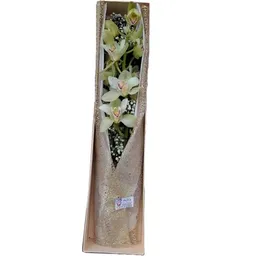 Orquidea Caja Con Vara 12 S Cimbidium