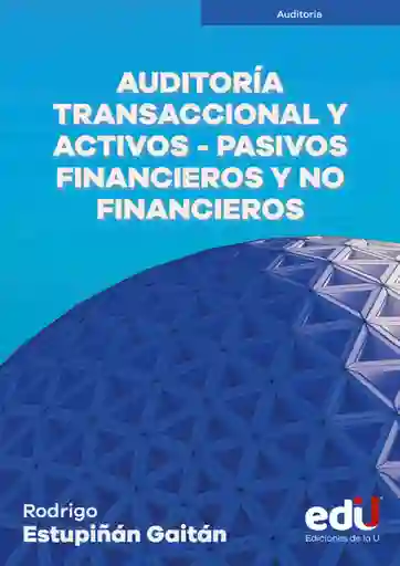 Auditoría Transaccional y Activos Pasivos