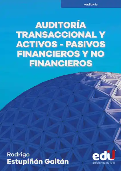 Auditoría Transaccional y Activos Pasivos