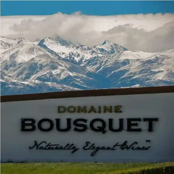 Domaine Bousquet Vino Blanco Orgánico Chardonnay