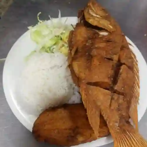 Mojarra Del Día