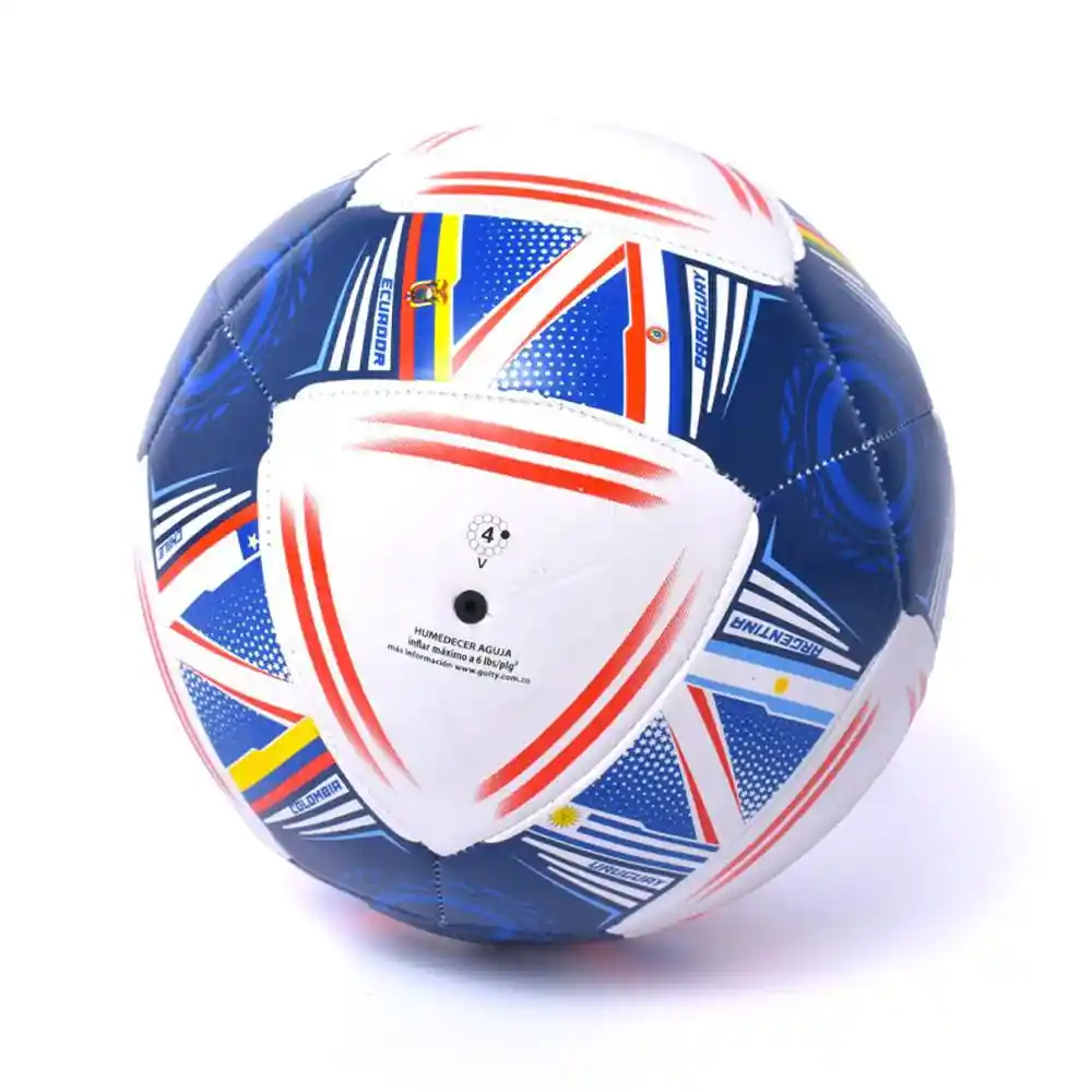 Balon Futbol Golty T678058