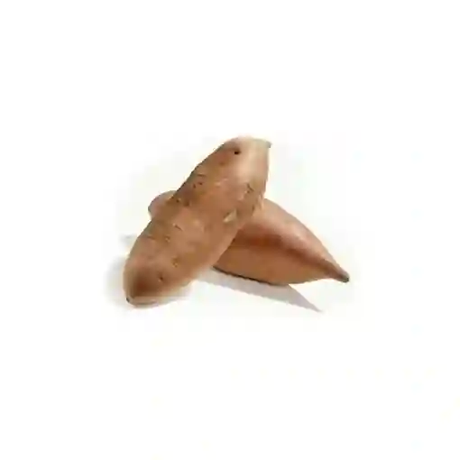 Yacon