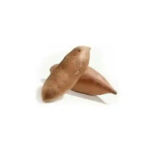 Yacon