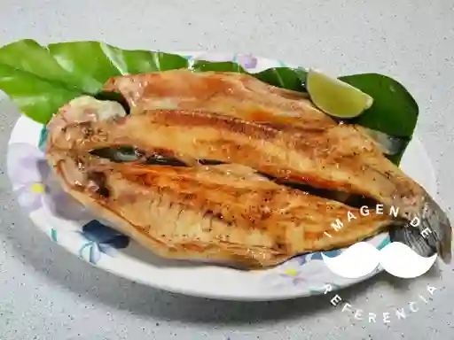 Trucha Frita