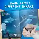 Kit de Excavación de Tiburones National Geographic National Geographic