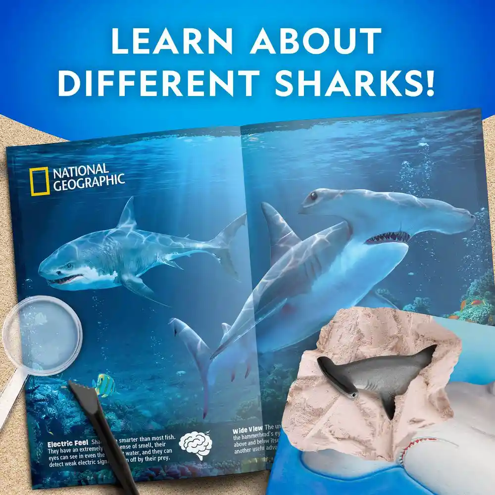 Kit de Excavación de Tiburones National Geographic National Geographic