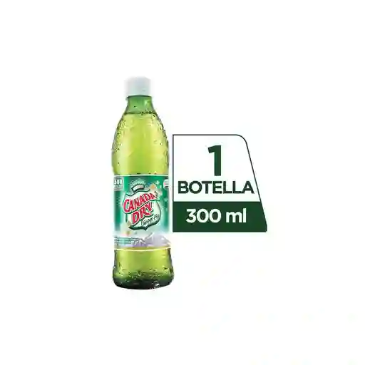 Ginger Ale/ Canada Dry