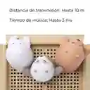 Miniso Bocina Osos Escandalosos Free Bears Modelo B99