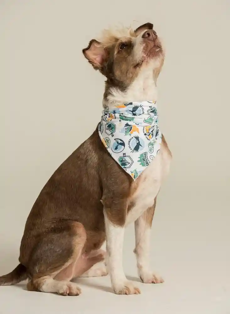 Panoleta Pets Macho People 45598