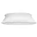 Almohada 230h Alg Down Proof Sesgo Distrihogar Pt00322