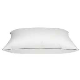 Almohada 230h Alg Down Proof Sesgo Distrihogar Pt00322