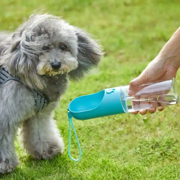 Petkit Botella Bebedero Sin Fugas Azul 400 mL