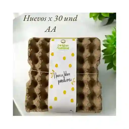 Huevos Aa - Origen Natural