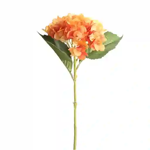 Hortensia Gio Home Tallo Dos Hojas Naranja