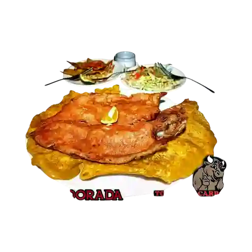 Trucha Dorada